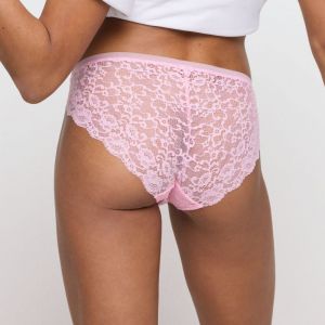 Color Studio LLR lily rose