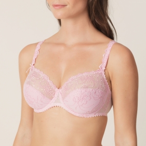 Jane LLR