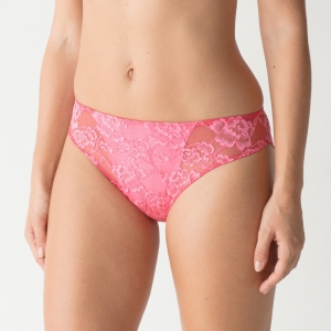 Wild Rose TAGA