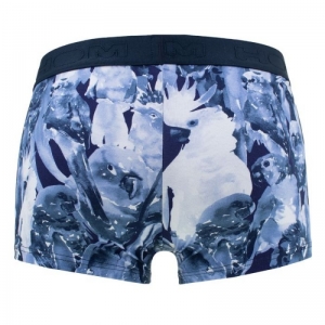 Papagayo BLUE