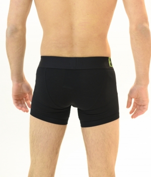 Boxer ZWA