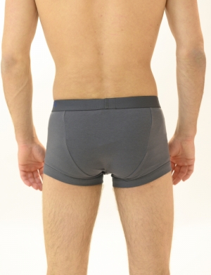 3-pack ANT