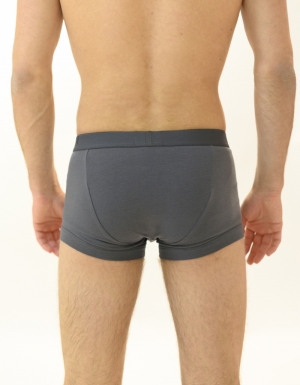 3-pack ANT