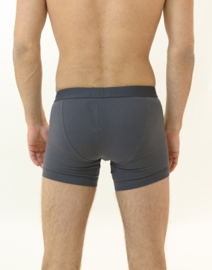 3-pack ANT