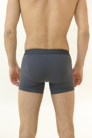 3-pack ANT