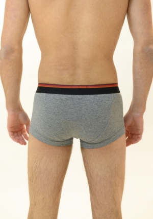 Boxer GID
