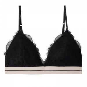 Darling Lace ZWA