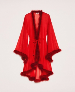 Kamerjas RED