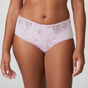 Orlando SVI sweet viole