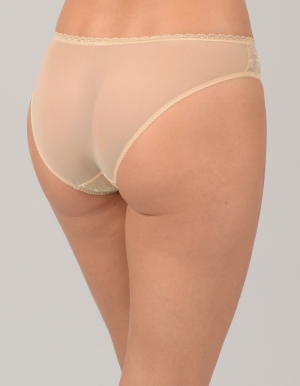 Aurore 0461