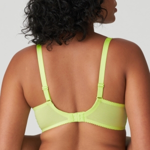 Sophora LIU Lime crush