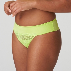 Sophora LIU Lime crush