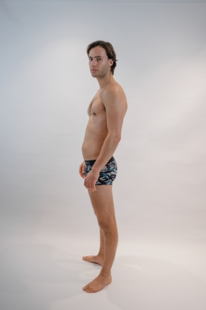 Boxer ZWA