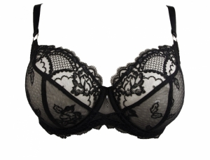 Sublime en dentelle ZWA