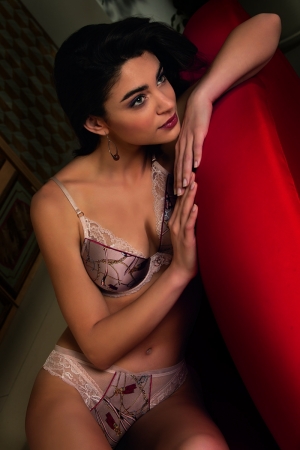 Seduction Cavaliere -AMB