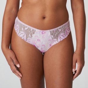 Orlando SVI sweet viole