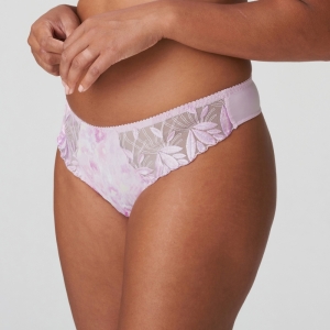 Orlando SVI sweet viole