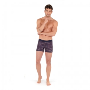 Cigale NAVY
