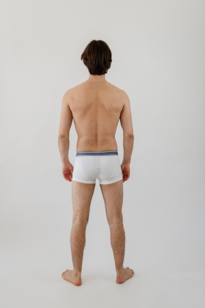Boxer WIT