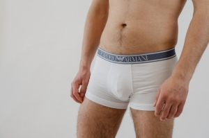Boxer WIT