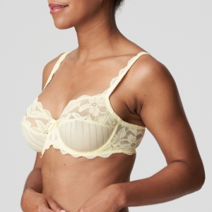 Ani GELI