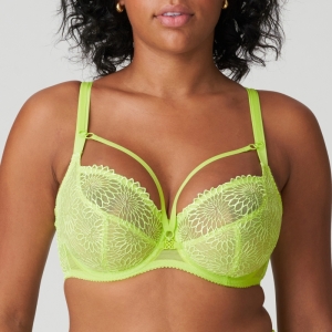 SOPHORA LIU Lime crush