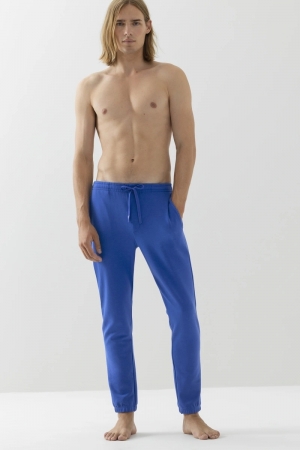 Enjoy Shiny Blue