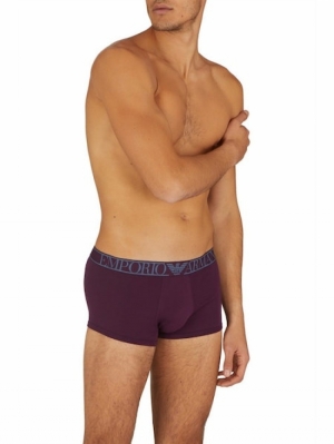 Boxer Prugna