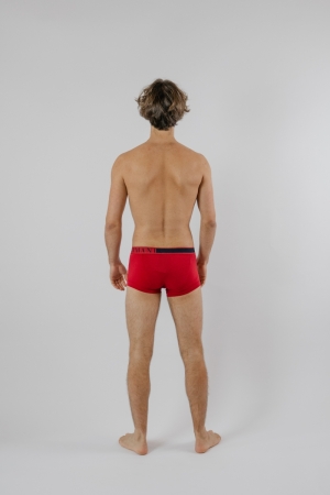 Boxer 12174
