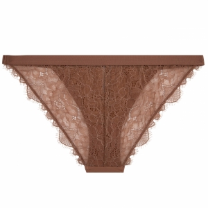 Wild Rose Mid Brown