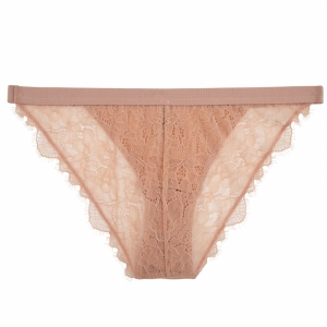 Wild Rose Light Brown