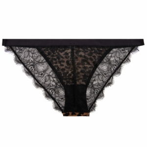 Wild Rose Leopard