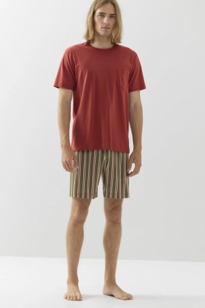 Stripes Red Ginger