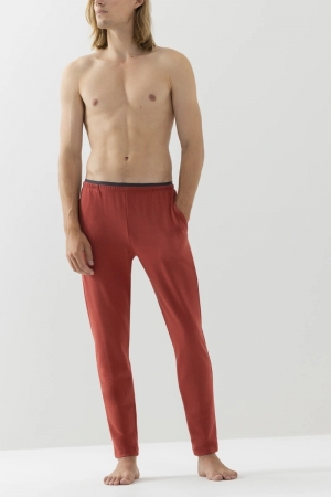 Enjoy Red Ginger