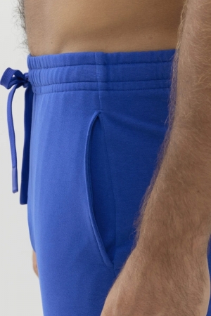 Enjoy Shiny Blue