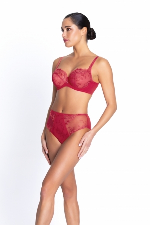Source beaute Hibiscus beaute