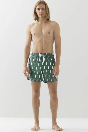 Surfboards Treetop