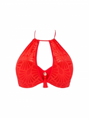 La Muse dentelle Corail