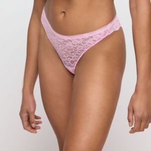 COLOR STUDIO LLR Lily Rose