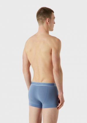 Boxer 04737