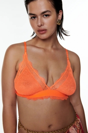 Love lacy Orange