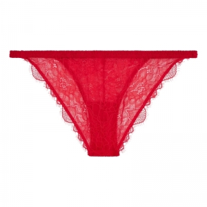 Wild Rose Red