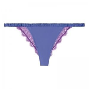 Charlotte Purple