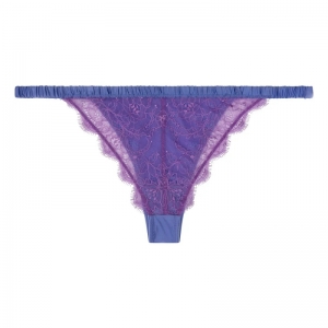 Charlotte Purple