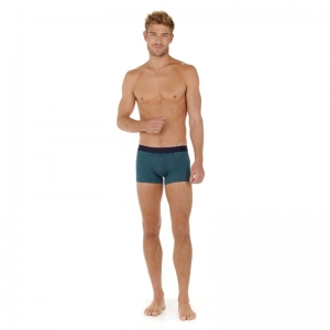 H01 Andy Blue Print