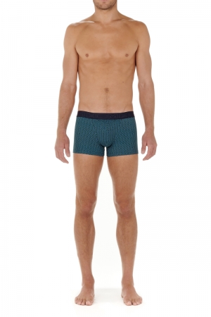 H01 Andy Blue Print