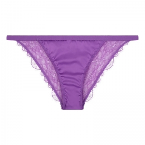 Wild Rose Purple