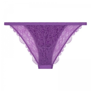 Wild Rose Purple