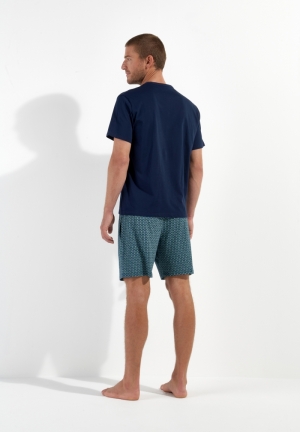 Andy Blue Print