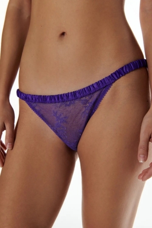 Wild rose Purple